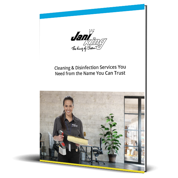 cleaning director services