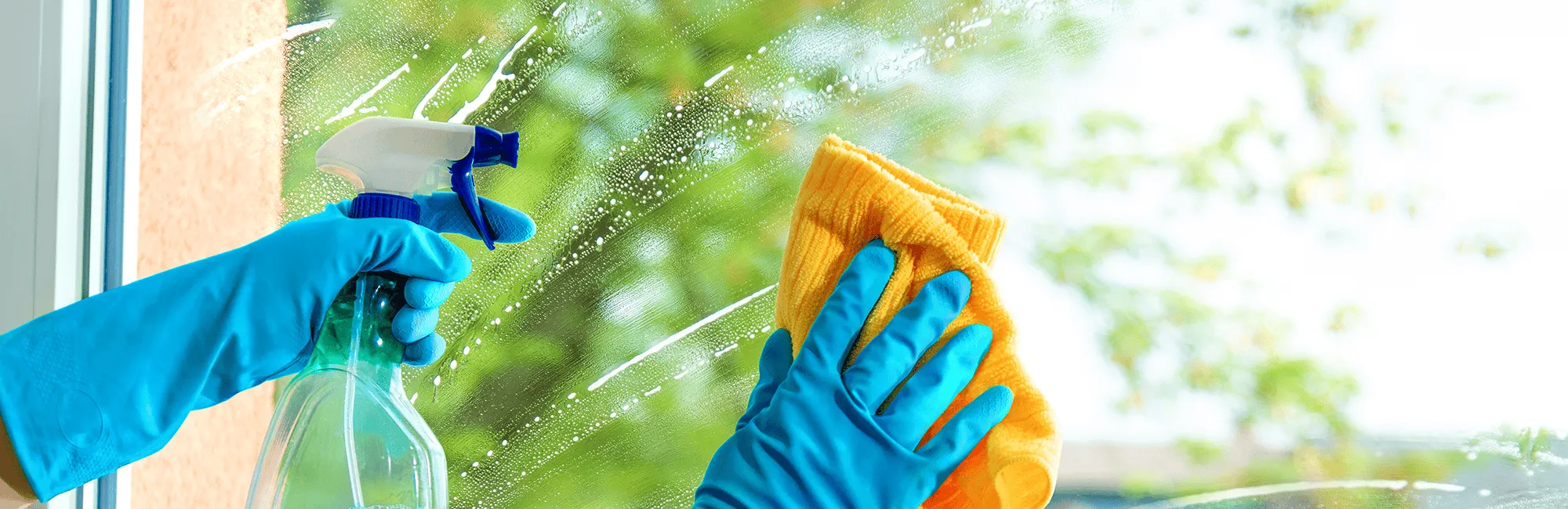 Washing an office window during spring time